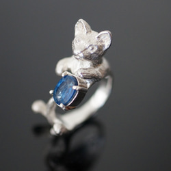 藍晶石貓戒指 第6張的照片