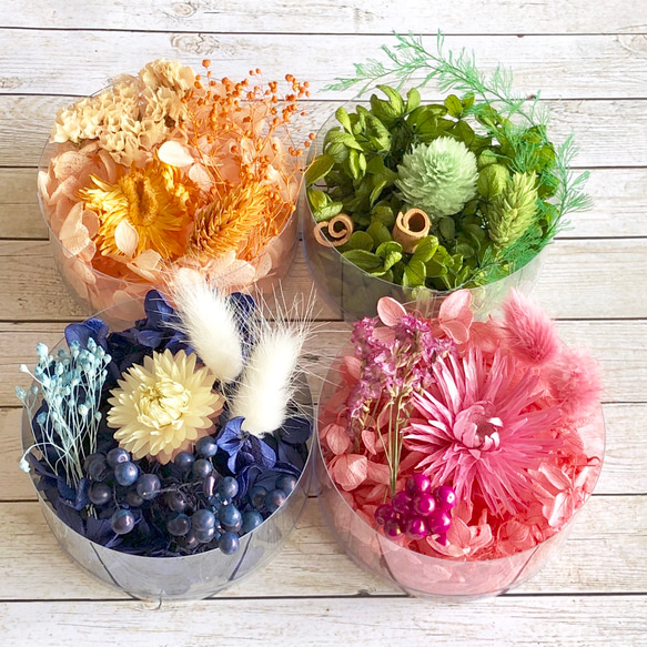 紫陽花　ドライフラワー　4セット 紫陽花ドライフラワー4セット