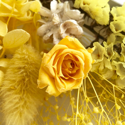M1花材 マイクロローズ 紫陽花 かすみ草 MIX花材セット プリザ ドライフラワー  ハーバリウム 3枚目の画像