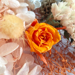 M4 花材 マイクロローズ 紫陽花 かすみ草 MIX花材セット プリザ ドライフラワー  ハーバリウム 3枚目の画像