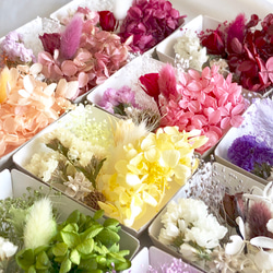 M５ 花材 マイクロローズ 紫陽花 かすみ草 MIX花材セット プリザ ドライフラワー  ハーバリウム 5枚目の画像