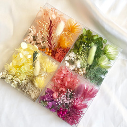 ④厳選花材パレット シルバーデイジー  紫陽花 かすみ草 花材セット 3枚目の画像