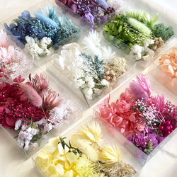 ④厳選花材パレット シルバーデイジー  紫陽花 かすみ草 花材セット 4枚目の画像