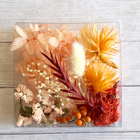 ⑤厳選花材パレット シルバーデイジー  紫陽花 かすみ草 花材セット 1枚目の画像