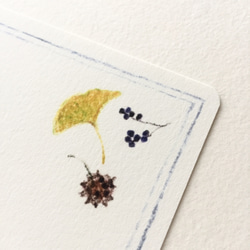 紅葉と木の実のポストカード 5枚組 3枚目の画像