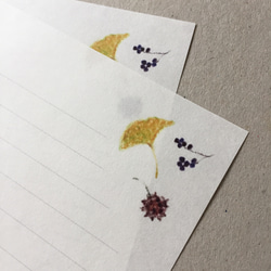 紅葉と木の実のレターセット 4枚目の画像