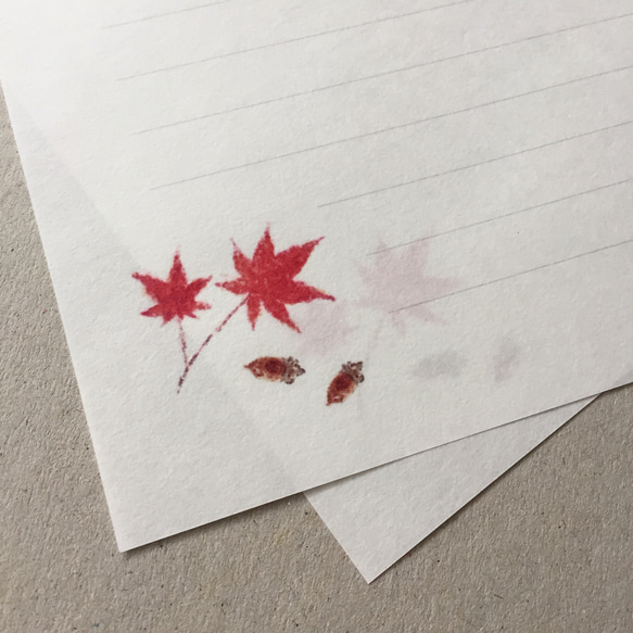 紅葉と木の実のレターセット 5枚目の画像