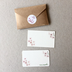 桜のメッセージカード サンキューカード 20枚 1枚目の画像