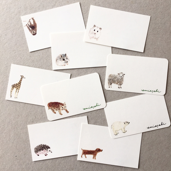 選べる動物のメッセージカード サンキューカード 20枚 1枚目の画像