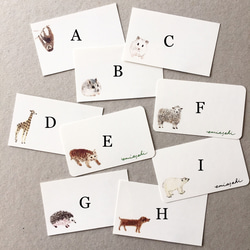 選べる動物のメッセージカード サンキューカード 20枚 2枚目の画像