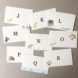 選べる動物のメッセージカード サンキューカード 20枚 3枚目の画像