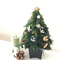 ヒムロスギのクリスマスツリー WHITE 2枚目の画像