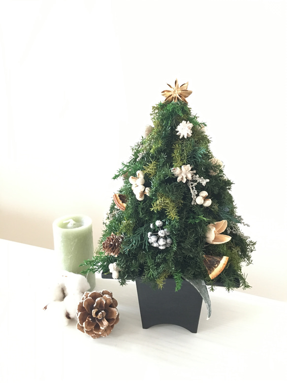 ヒムロスギのクリスマスツリー WHITE 2枚目の画像
