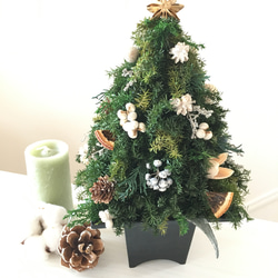 ヒムロスギのクリスマスツリー WHITE 3枚目の画像