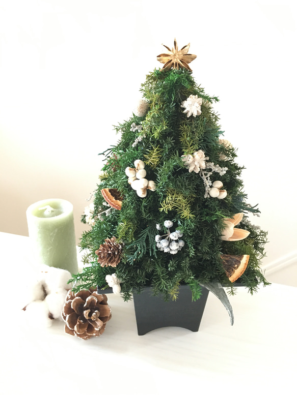 ヒムロスギのクリスマスツリー WHITE 3枚目の画像