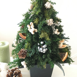 ヒムロスギのクリスマスツリー WHITE 4枚目の画像