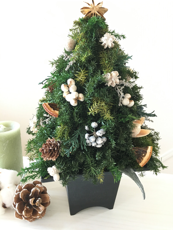 ヒムロスギのクリスマスツリー WHITE 4枚目の画像
