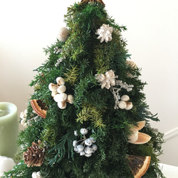 ヒムロスギのクリスマスツリー WHITE 5枚目の画像