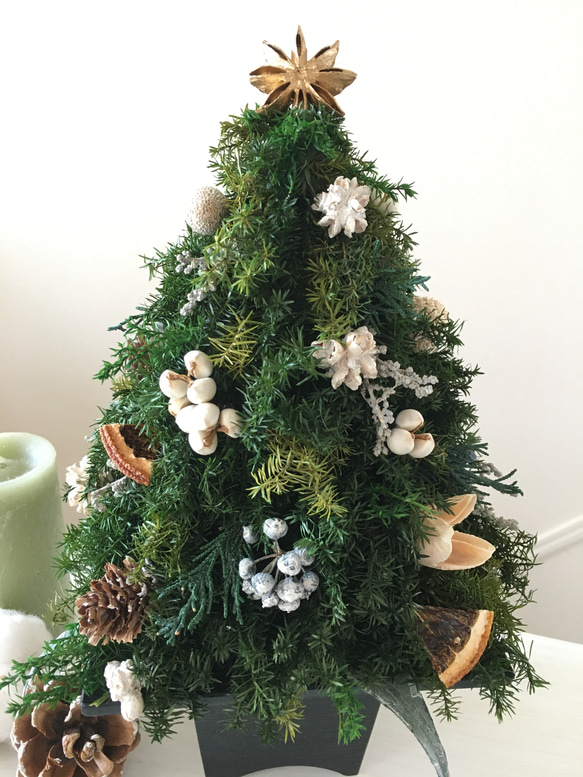 ヒムロスギのクリスマスツリー WHITE 5枚目の画像