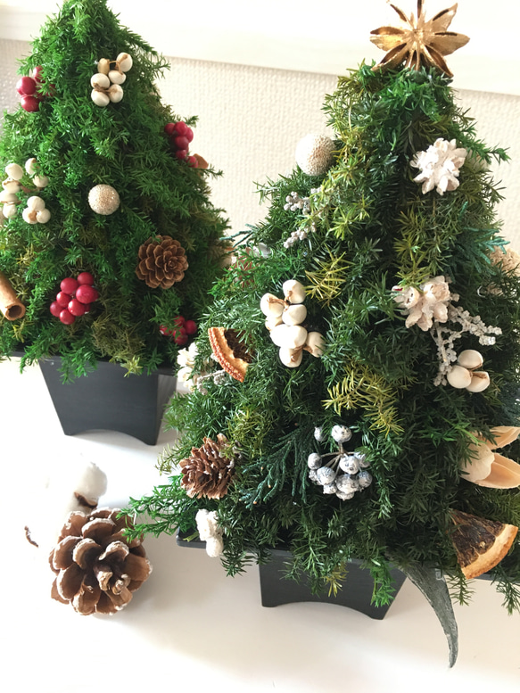 ヒムロスギのクリスマスツリー WHITE 6枚目の画像