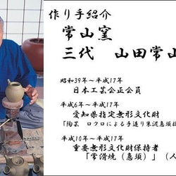 日本 常滑焼 名工三代山田常山造 朱泥煎茶器揃 共箱 第2張的照片