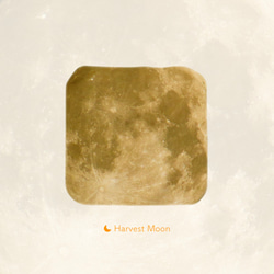 Lunar’s Graphic Handkerchief (3 colors)｜月模様ハンカチ 4枚目の画像