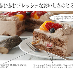 クリスマス限定　送料無料！！クリスマスチョコデコレーションケーキ 2枚目の画像