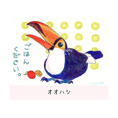 るんとポストカードいろいろ5枚セットnakachi No.1 イラスト