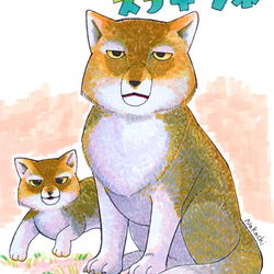 Nakachi作　ユニークな動物のポストカード４枚セット№2 3枚目の画像