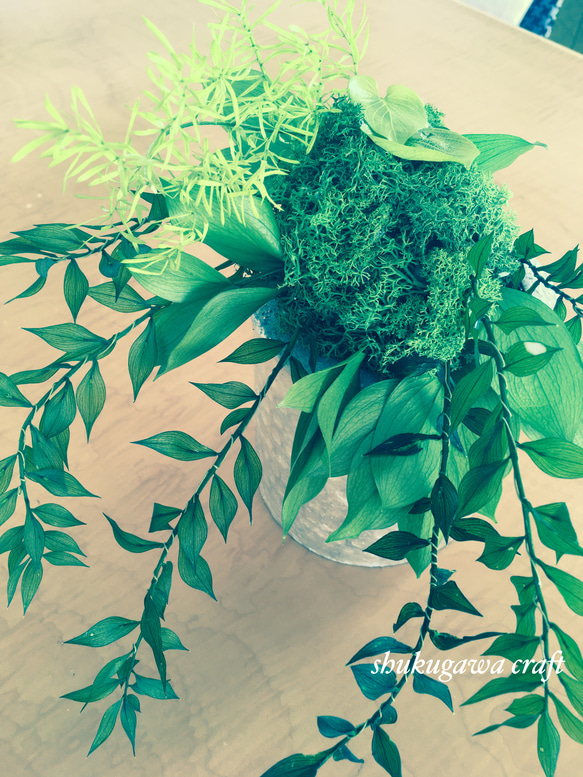 freshgreenの苔玉ハンギング 2枚目の画像