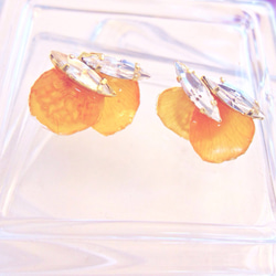 Real Flower Petal Earrings/Pierce Vitamin Orange 1枚目の画像