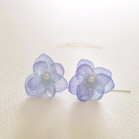 【再々々販】むらさき紫陽花(あじさい)とパールの重ねピアス 4枚目の画像