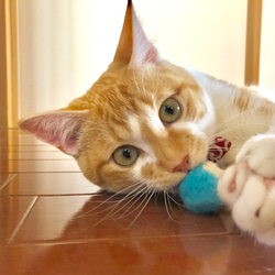 猫のおもちゃ☆そら玉☆3個セット【送料無料】 2枚目の画像