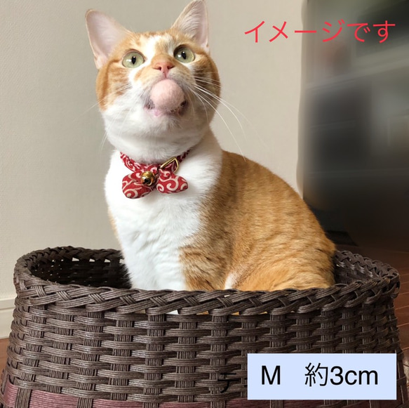 猫のおもちゃ☆そら玉セレクト☆3個セット 3枚目の画像