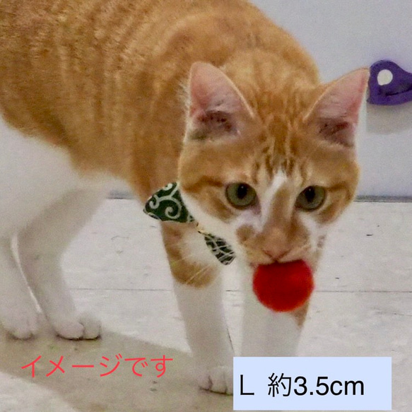 猫のおもちゃ☆そら玉セレクト☆3個セット 4枚目の画像
