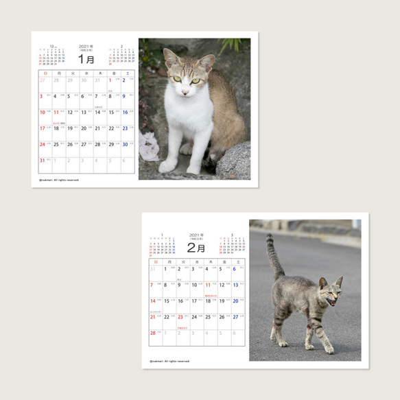 ≪50％OFF≫★ねこちゃんカレンダー2021 (島ねこ / 香川県佐柳島)★☆売上の一部は動物保護団体に寄付されます☆ 3枚目の画像