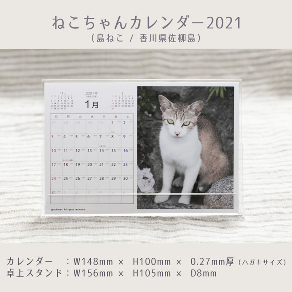 ≪50％OFF≫★ねこちゃんカレンダー2021 (島ねこ / 香川県佐柳島)★☆売上の一部は動物保護団体に寄付されます☆ 2枚目の画像