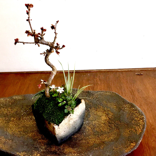 益子焼 作家 花瓶(益子焼 明石庄作 鉄釉面取花瓶 濱田庄司の 益子焼 作家 花瓶(益子焼 明石庄作 鉄釉面取花瓶 濱田庄司の