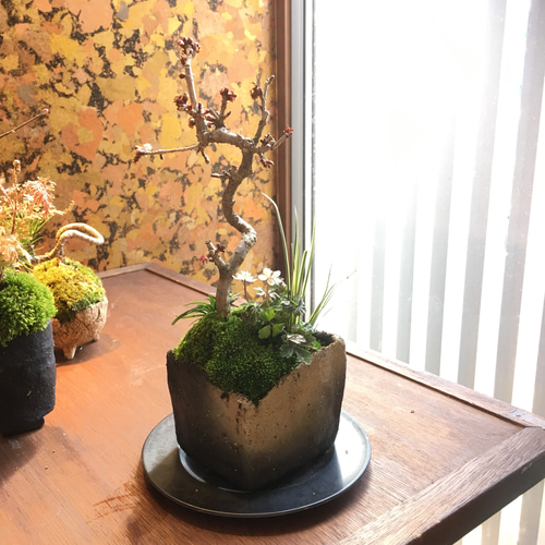 傑作 備前焼 花生 花瓶 28cm 端正で見事 最 安値ホビー・楽器・アート - 傑作 備前焼 花生 花瓶 28cm