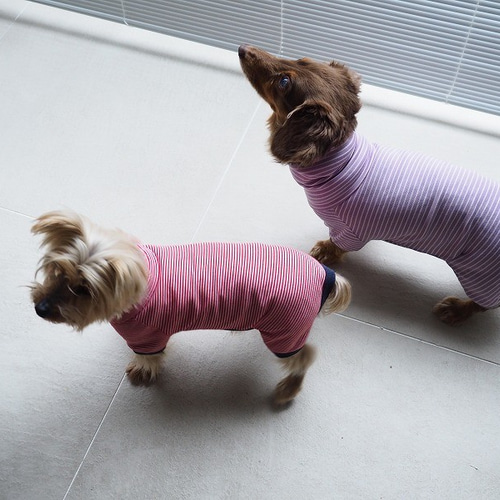 ハンドメイド犬服【チーくん♡】 ぴーち様♡ ハンドメイド 犬服♡ 【公式通販】