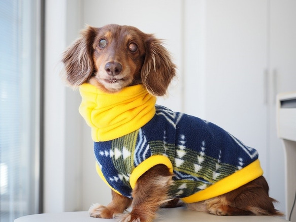 犬服　ダックスちゃんのツートンカラーのハイネックタンクトップ　イエロ×トライバル 1枚目の画像