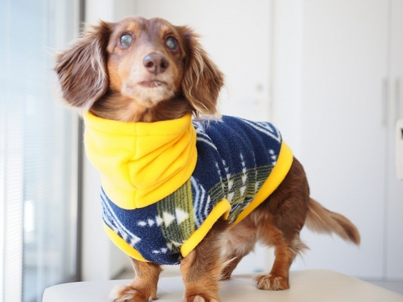 犬服　ダックスちゃんのツートンカラーのハイネックタンクトップ　イエロ×トライバル 3枚目の画像