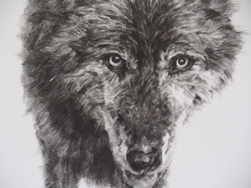 さびしがりやの一匹狼 7,100円