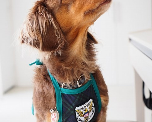 0_f966b70dfe2d8c902eb94a4de3c5