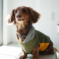 犬服　ダックスちゃんのフード付タンクトップ　カーキー×グレイ 1枚目の画像