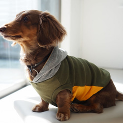 犬服　ダックスちゃんのフード付タンクトップ　カーキー×グレイ 3枚目の画像