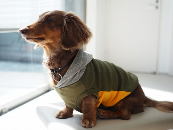 犬服　ダックスちゃんのフード付タンクトップ　カーキー×グレイ 3枚目の画像