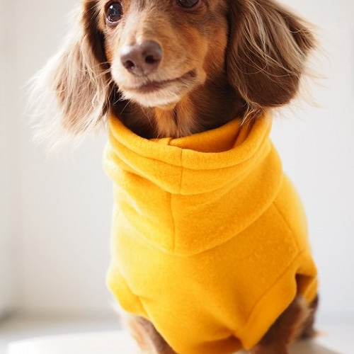 犬服 ダックスちゃんのハイネックタンクトップ マスタード ペット服