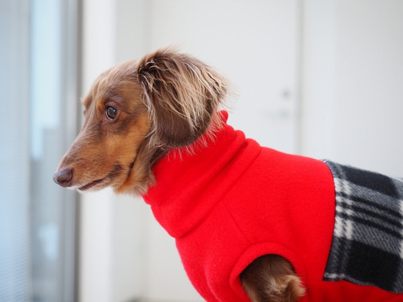 犬服　ダックスちゃんの背中切り替えハイネックタンクトップ　赤×チェック 2枚目の画像