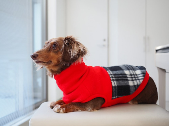 犬服　ダックスちゃんの背中切り替えハイネックタンクトップ　赤×チェック 3枚目の画像